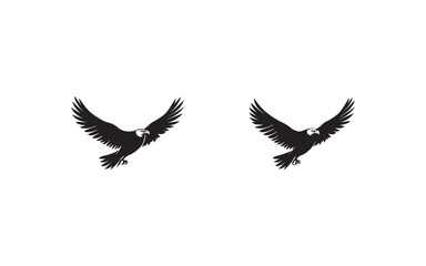 eagle vector illustration