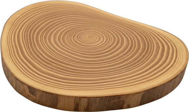 Detailed view of a single wood slice displaying concentric growth rings and bark texture isolated on a tree ring wood texture natural organic round transparent background