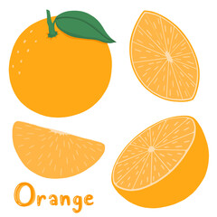 Cute Orange Cutaway Illustration Set Vol.1