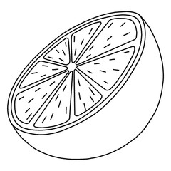 Cute Orange Half Cutaway Cartoon - Outline