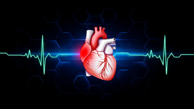 Red heart with electrocardiogram and hexagonal pattern white arteries