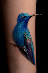 Discover the Delicate Beauy and Symbolism of Hummingird Tattoos: Meaning, Desin Ideas, Placement Options and Creative Inspirations