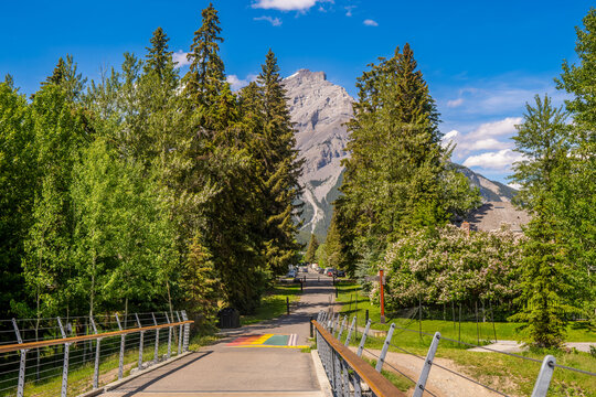 Visitors enjoy a sunny day in Banff with beautiful mountain views and lush green trees surrounding the pathway