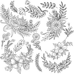 Fototapeta premium Hand Drawn Floral Vector Set – Elegant Line Art Flowers and Leaves Collection