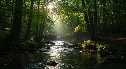 Obraz premium Sunlight streaming through a lush green forest onto a serene flowing river.