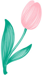 Hand-Drawn Heart-Shaped Tulip and Leaf Illustration Element