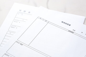 履歴書と職務経歴書 - 転職の際に欠かせない応募書類の履歴書と職務経歴書を用意する
