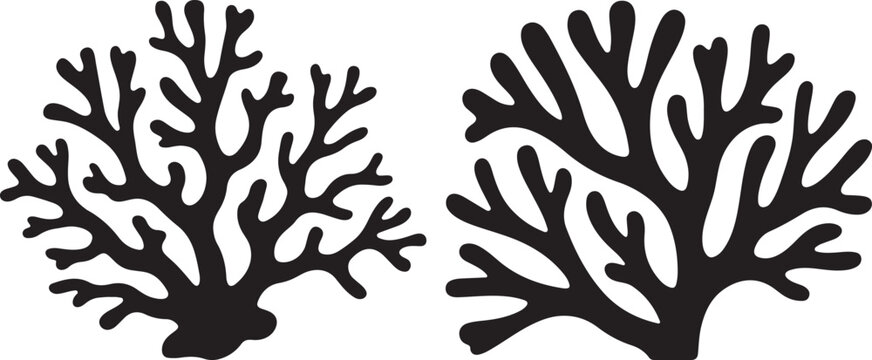 Black silhouette of a branching coral on a white background