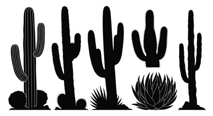 Fototapeta premium Black silhouettes of various desert plants, including tall cacti like saguaros, branching cacti, and succulents, isolated on white.