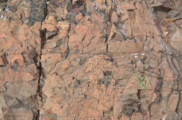 세월에 풍화되고 흙먼지가 낀 바윗돌