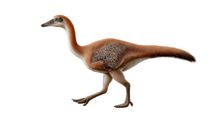 Fototapeta premium Gallimimus: A detailed depiction of a Gallimimus, a unique and swift dinosaur species, walking, showcasing its sleek form and characteristics, ideal for educational or creative projects.