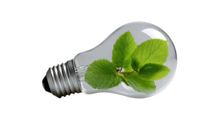 Renewable Energy: a light bulb with green leaves inside, representing innovative solution for a clean and green environment. 