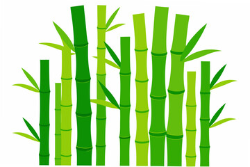 Obraz premium bamboo isolated on white
