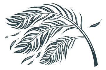 Obraz premium black and white feather