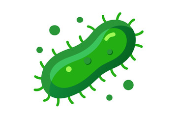 green cucumber isolated on white