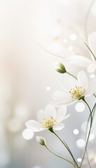 white flowers on a green background