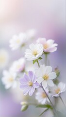 white flowers on a green background