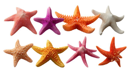 Vibrant Starfish: A dazzling array of colorful starfish, showcasing a spectrum of hues, presenting a captivating underwater vista.