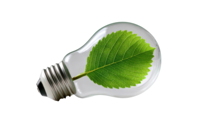 Eco-friendly Idea: A light bulb cradles a vibrant leaf, symbolizing sustainable innovation and eco-consciousness, merging nature and technology.