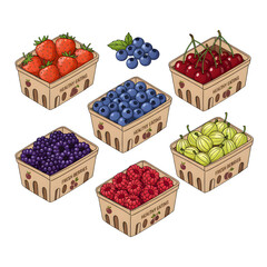 Various berries in supermarket carton boxes. Strawberry, blueberry, cherry, raspberry, gooseberry and blackberry set. Healthy eating concept. illustration design.