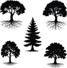 Fototapeta premium Five black tree silhouettes with exposed roots and varied canopy shapes, conifer center, deciduous corners, organic design, nature symbolism