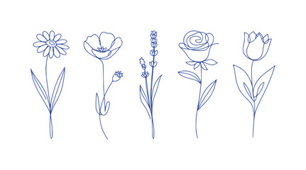 Minimalist Blue Line Art Flowers: Daisy, Poppy, Lavender, Rose, Tulip