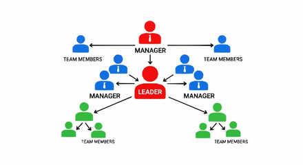 Hierarchical Organizational Structure with Leader Managers and Team Members.