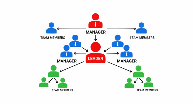 Hierarchical Organizational Structure with Leader Managers and Team Members.