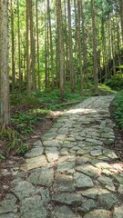Hidden Wonders of Japan - Nakasendo Village 