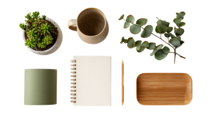 Still Life Collection: An overhead shot showcases a carefully arranged assortment of natural elements, including a potted succulent, a ceramic mug, eucalyptus branches, a cylindrical container.