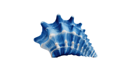 Sea Shell's Aquatic Essence: Capturing a pristine, detailed image of a captivating seashell, its spiraling form and intricate textures showcase nature's elegant designs.