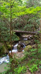 Hidden Wonders of Japan - Nakasendo Village 