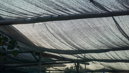 a paranet installed on a bamboo pole in a garden and photographed from below isometrically with a...