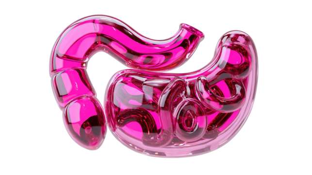 Stomach and small intestine zoom with skeleton anterior view