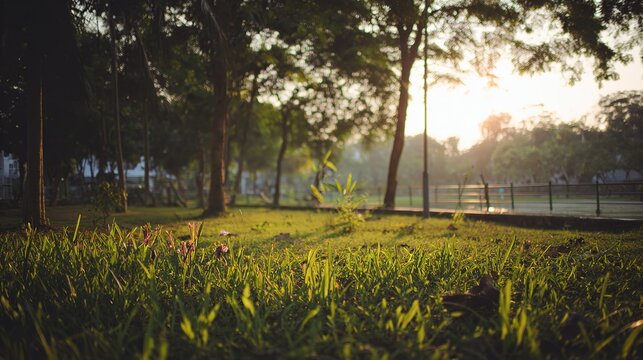 blurred. Tranquil park at sunset with warm golden hues, creating a peaceful natural landscape. inspiring travel planning, travel magazines, designed for travel destination branding.