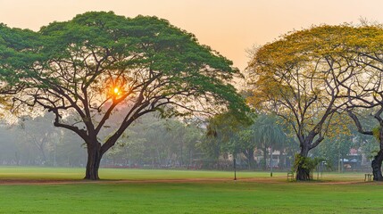 blurred. Tranquil park at sunset with warm golden hues, creating a peaceful natural landscape. inspiring travel planning, travel magazines, designed for travel destination branding.