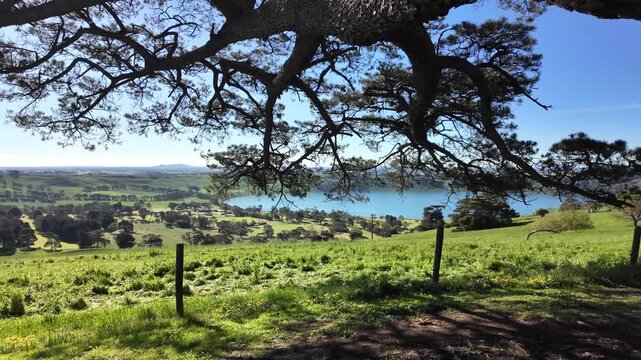 A scenic lookout view over Lake Gnotuk and Lake Bullen Merri near Camperdown in Victoria, Australia. Rolling green farmland and volcanic crater lakes form a peaceful rural landscape