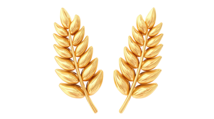 spikelets of wheat isolate on white background. Selection focus. food PNG