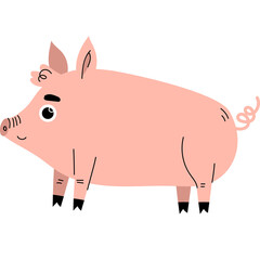 Cute Pink Pig Standing in Profile with Curly Tail and Simplified Features on Transparent Background