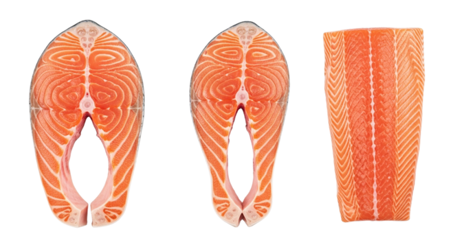Three salmon pieces two steaks and one fillet showing the color and texture on a black background