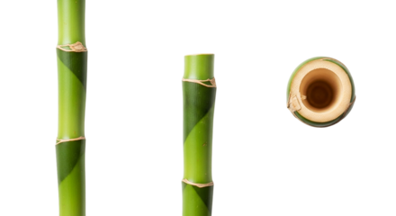 A close up of three bamboo stalks with a cross section view isolated on a black background space