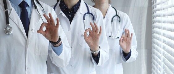 Medical team demonstrating professionalism and successful teamwork, doctors and healthcare workers in lab coats and stethoscopes showing ok sign for quality and well being