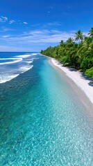 Tropical paradise sandbar with lush green palm trees and sparkling turquoise ocean water under a clear blue sky