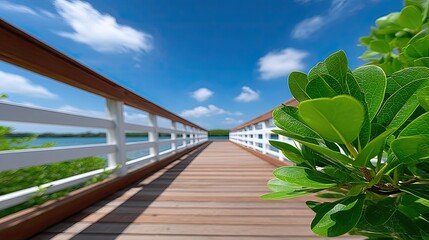 Wooden Boardwalk Path Leading to Calm Blue Water Under a Bright Sunny Sky with White Clouds and Lush Green Foliage in Foreground