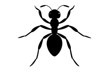 vector illustration of a spider