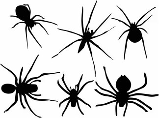 Spider Silhouette Vector.eps
