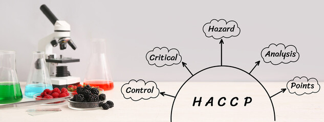 Professional laboratory glassware with berries in Petri dishes, samples and microscope on table near grey wall