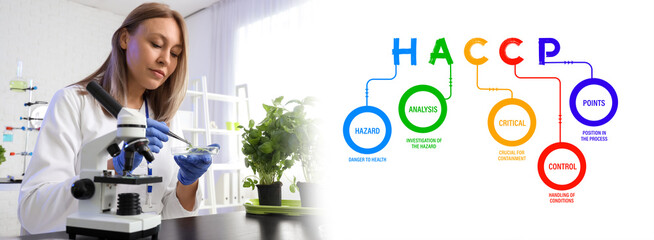 Female agricultural engineer working with plant sample in laboratory