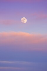 Full moon in a pastel sky with pink and purple hues creating a dreamy atmosphere
