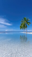 Vibrant Tropical Paradise With Two Tall Palm Trees Overhanging A Sparkling Infinity Pool Under A Clear Blue Sky